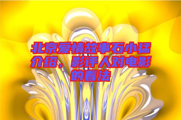 北京愛情故事石小猛介紹，影評人對電影的看法