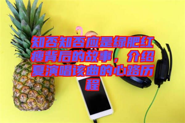 知否知否應是綠肥紅瘦背后的故事，介紹夏演唱該曲的心路歷程
