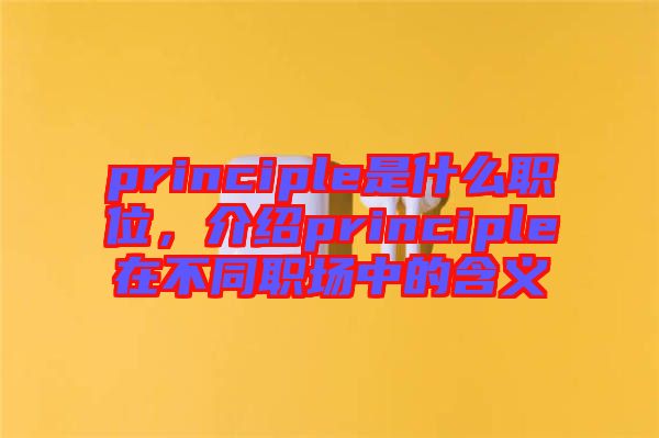 principle是什么職位，介紹principle在不同職場中的含義