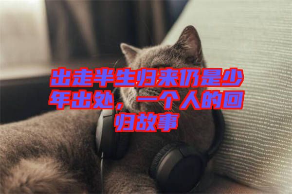 出走半生歸來仍是少年出處，一個(gè)人的回歸故事