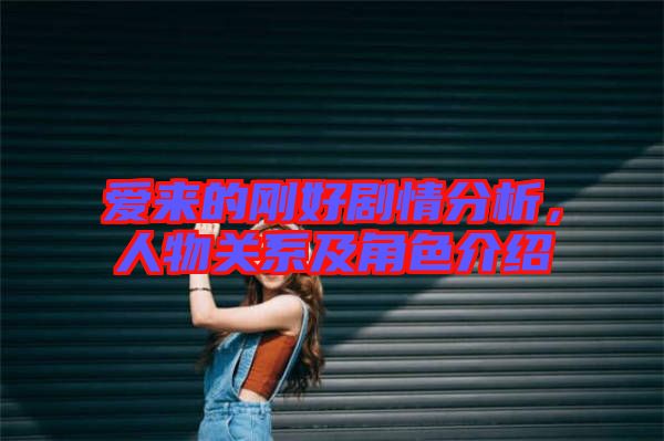 愛來的剛好劇情分析，人物關系及角色介紹