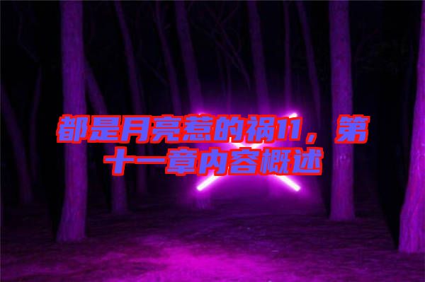 都是月亮惹的禍11，第十一章內容概述