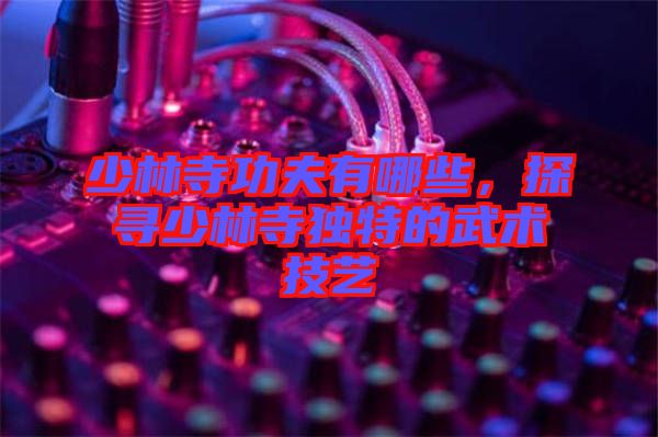 少林寺功夫有哪些，探尋少林寺獨特的武術技藝