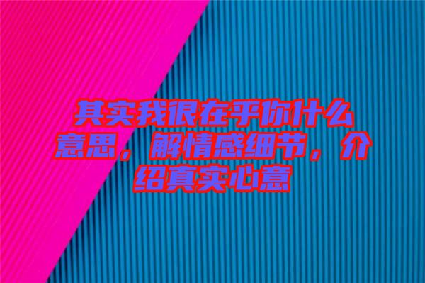 其實(shí)我很在乎你什么意思，解情感細(xì)節(jié)，介紹真實(shí)心意