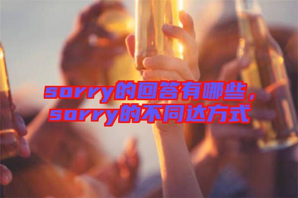 sorry的回答有哪些，sorry的不同達方式