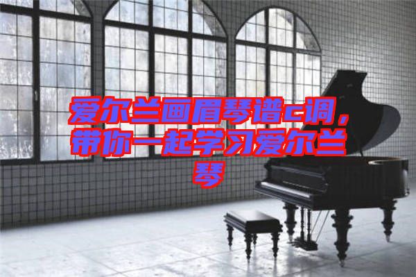 愛爾蘭畫眉琴譜c調，帶你一起學習愛爾蘭琴