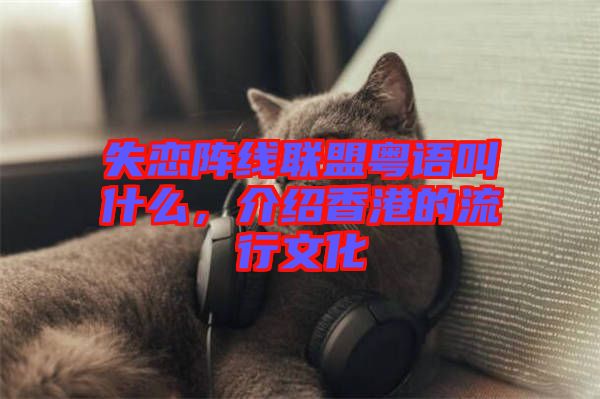 失戀陣線(xiàn)聯(lián)盟粵語(yǔ)叫什么，介紹香港的流行文化