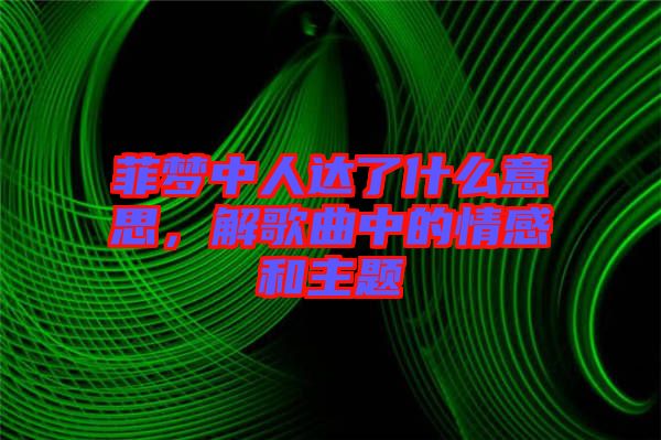 菲夢中人達了什么意思，解歌曲中的情感和主題