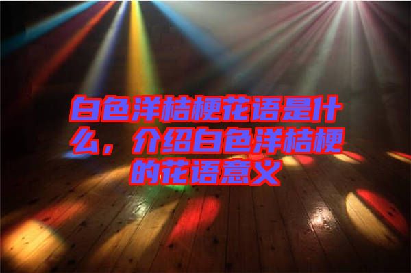 白色洋桔梗花語是什么，介紹白色洋桔梗的花語意義