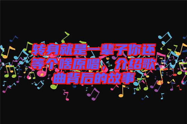 轉身就是一輩子你還等個啥原唱，介紹歌曲背后的故事