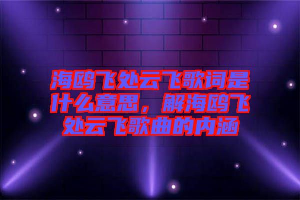 海鷗飛處云飛歌詞是什么意思，解海鷗飛處云飛歌曲的內涵