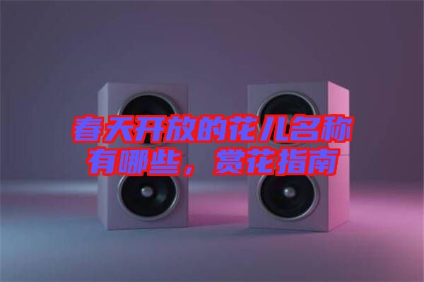 春天開放的花兒名稱有哪些，賞花指南