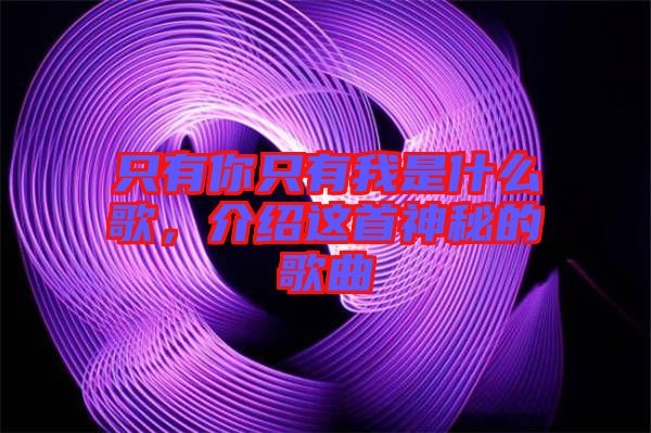 只有你只有我是什么歌，介紹這首神秘的歌曲