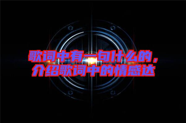 歌詞中有一句什么的，介紹歌詞中的情感達