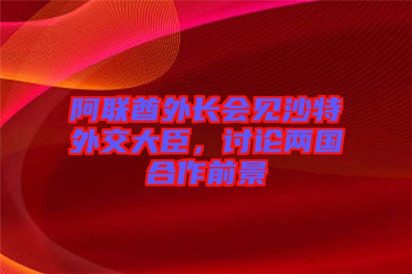 阿聯(lián)酋外長(zhǎng)會(huì)見沙特外交大臣，討論兩國(guó)合作前景