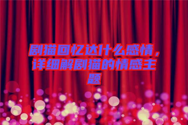 劇貓回憶達什么感情，詳細解劇貓的情感主題