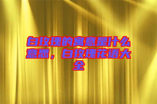 白玫瑰的寓意是什么意思，白玫瑰花語大全