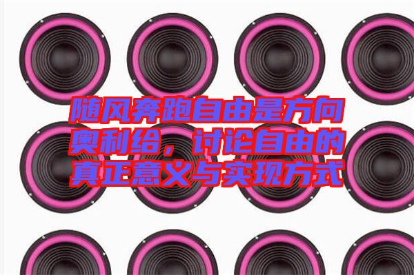 隨風奔跑自由是方向奧利給，討論自由的真正意義與實現方式