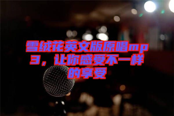 雪絨花英文版原唱mp3，讓你感受不一樣的享受