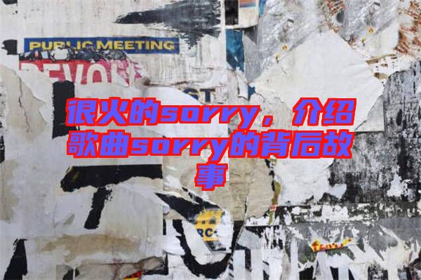 很火的sorry，介紹歌曲sorry的背后故事