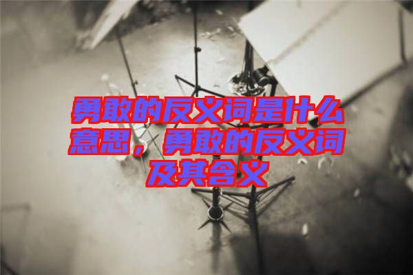 勇敢的反義詞是什么意思，勇敢的反義詞及其含義