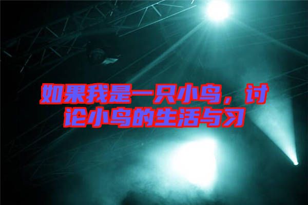 如果我是一只小鳥，討論小鳥的生活與習(xí)