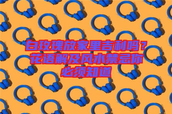 白玫瑰放家里吉利嗎？花語解及風水禁忌你必須知道