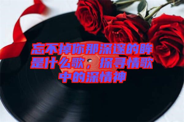 忘不掉你那深邃的眸是什么歌，探尋情歌中的深情神