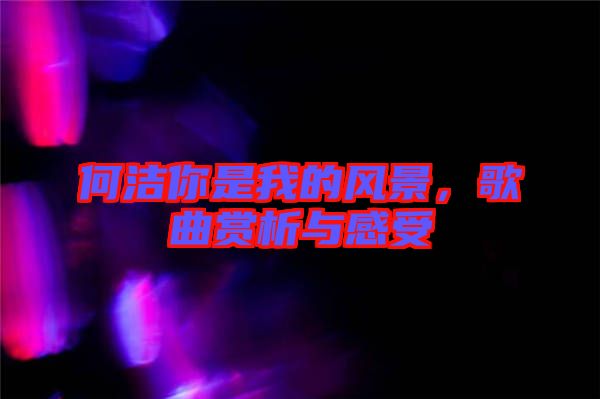 何潔你是我的風景，歌曲賞析與感受