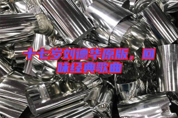 十七歲劉德華原版，回味經典歌曲
