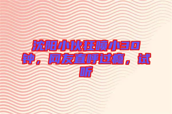 沈陽小伙狂噴小30鐘，網友直呼過癮，試聽