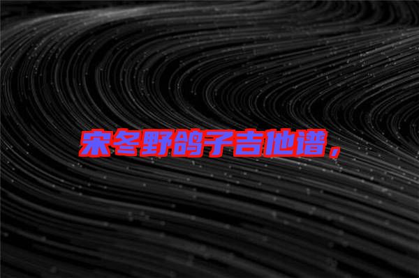 宋冬野鴿子吉他譜，