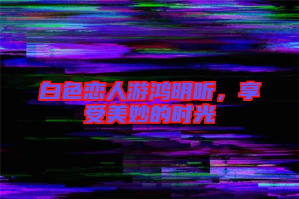 白色戀人游鴻明聽，享受美妙的時光