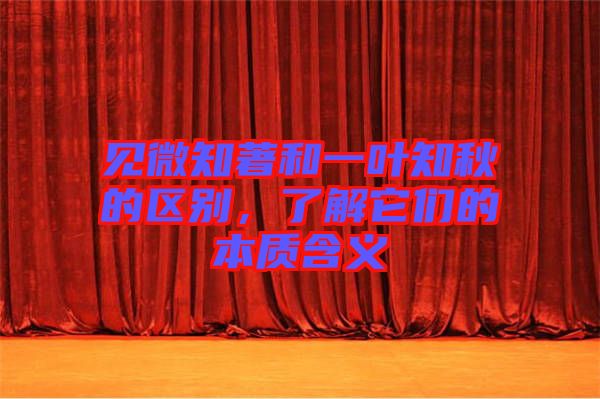 見微知著和一葉知秋的區別，了解它們的本質含義
