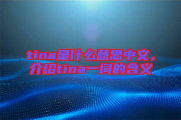 tina是什么意思中文，介紹tina一詞的含義