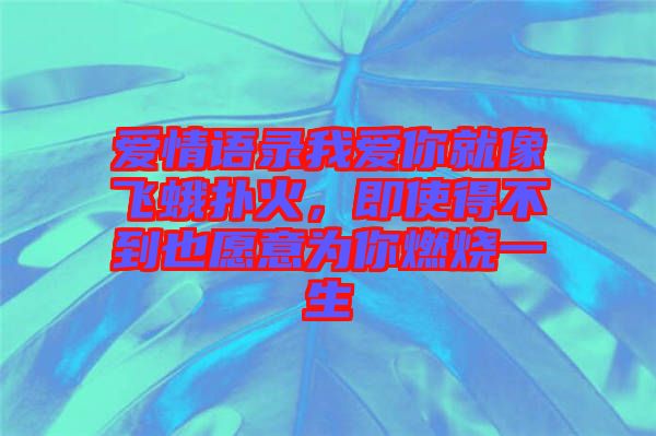 愛情語錄我愛你就像飛蛾撲火，即使得不到也愿意為你燃燒一生
