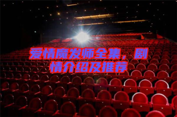 愛情魔發(fā)師全集，劇情介紹及推薦
