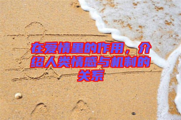 在愛情里的作用，介紹人類情感與機制的關系