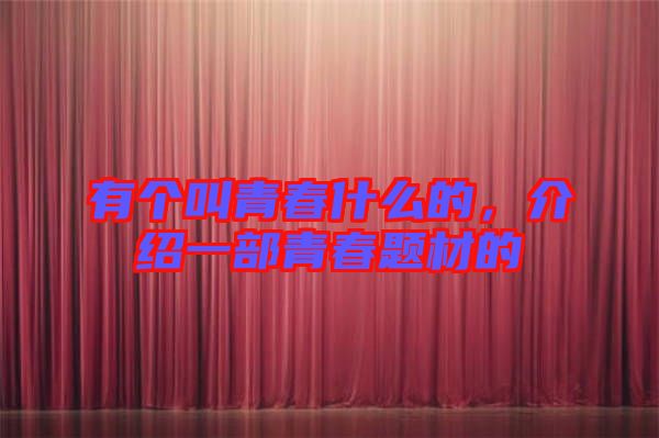 有個叫青春什么的，介紹一部青春題材的