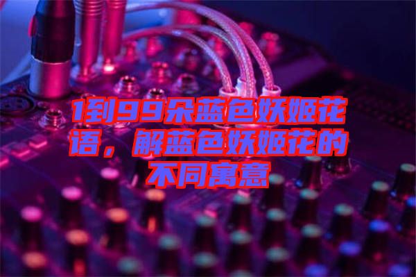 1到99朵藍色妖姬花語，解藍色妖姬花的不同寓意