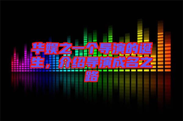 華娛之一個導演的誕生，介紹導演成名之路