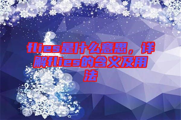 flies是什么意思，詳解flies的含義及用法