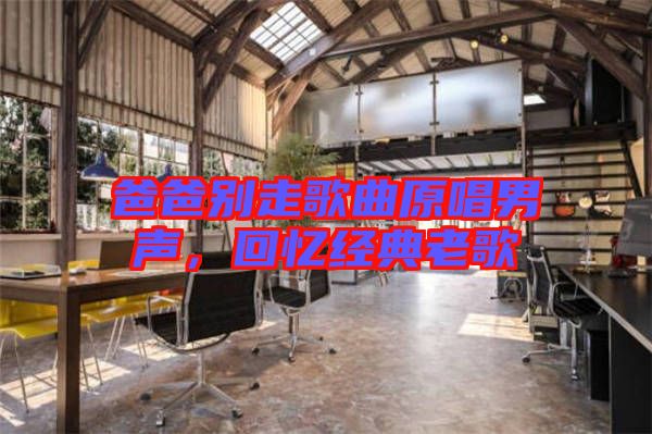 爸爸別走歌曲原唱男聲，回憶經典老歌