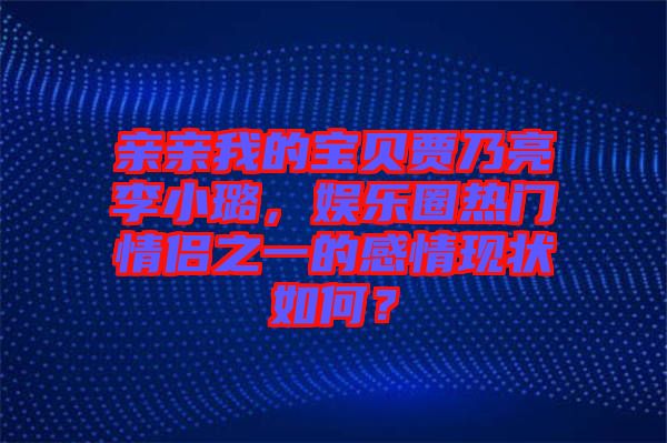 親親我的寶貝賈乃亮李小璐，娛樂圈熱門情侶之一的感情現狀如何？