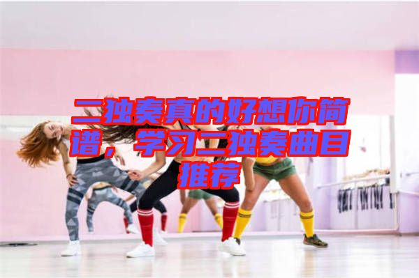二獨(dú)奏真的好想你簡(jiǎn)譜，學(xué)習(xí)二獨(dú)奏曲目推薦