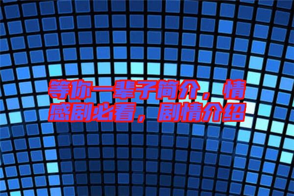 等你一輩子簡介，情感劇必看，劇情介紹