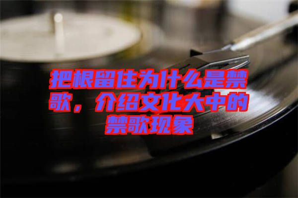 把根留住為什么是禁歌，介紹文化大中的禁歌現象