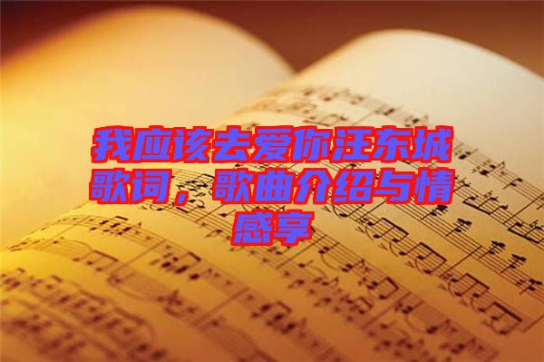我應該去愛你汪東城歌詞，歌曲介紹與情感享