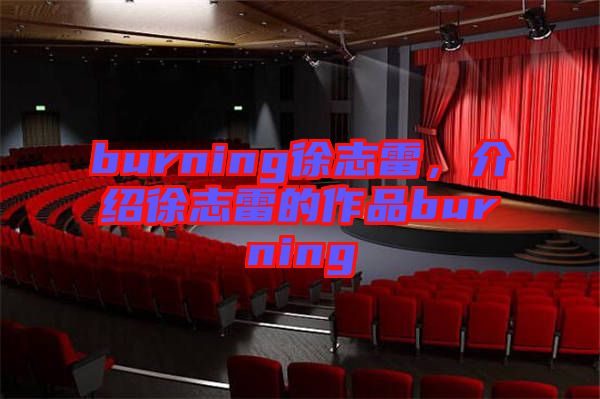 burning徐志雷，介紹徐志雷的作品burning