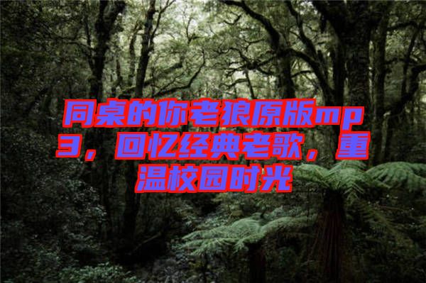 同桌的你老狼原版mp3，回憶經典老歌，重溫校園時光